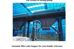 Sludge Treatment Auxiliary Equipment Air Compressor Belt Conveyor Cake Hopper And So on 